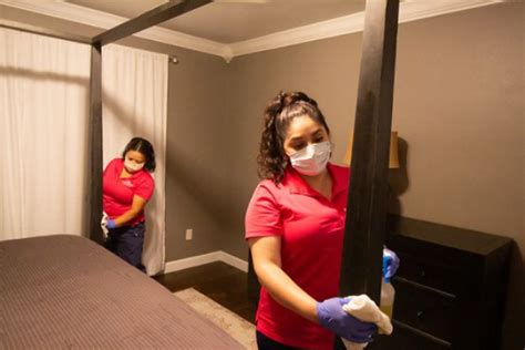 molly maid of greater tampa|maid service tampa fl.